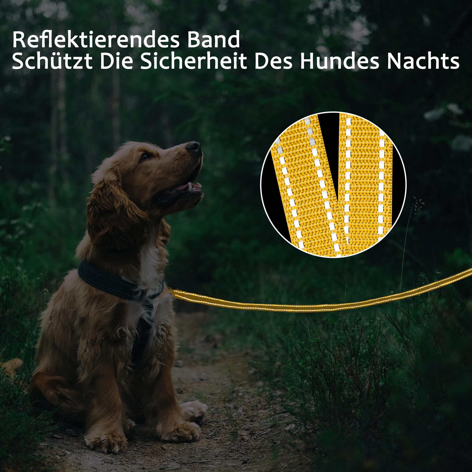 Laisse de dressage pour chien - 3 m, 5 m, 10 m, 15 m, 20 m, robuste, réfléchissante - Avec poignée rembourrée et dragonne - Pour petits et grands chiens