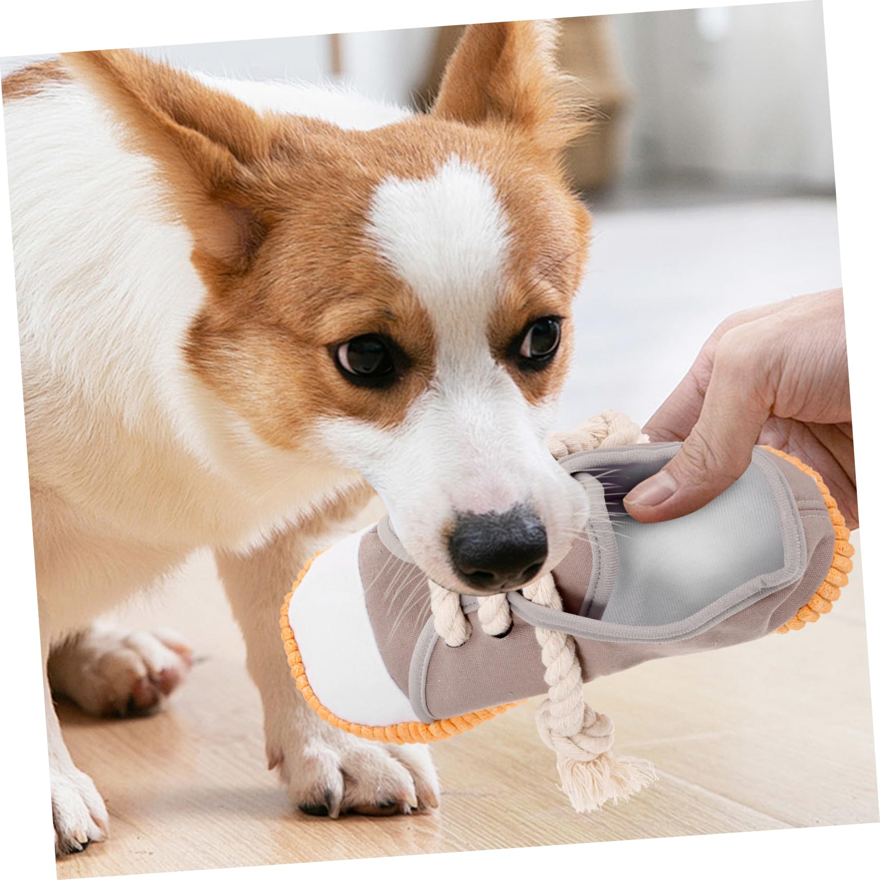 Milisten 4pièces Jouet Squeaky pour Chien Jouet De Nettoyage des Toile à Mâcher pour Chiens Et Chiots Agressifs