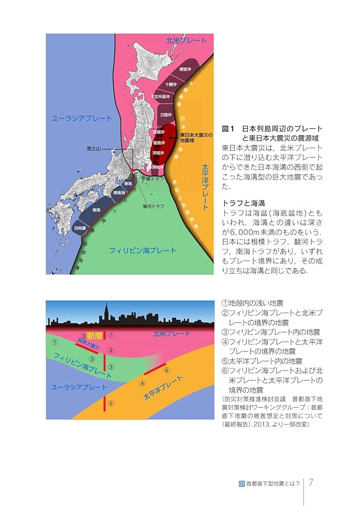 災害歯科学 歯科医師のための災害時マニュアル : 江澤 庸博, 風間 裕貴