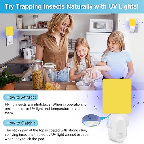 Miniatura 3 de Trampa para insectos voladores, trampa para moscas de frutas y mosquitos para interiores, seguro y no tóxico, con almohadilla adhesiva para moscas,