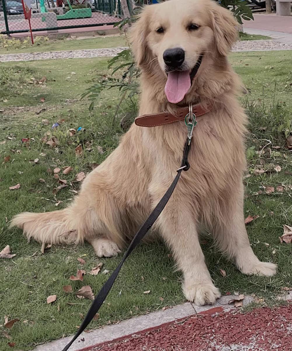 Correa táctica resistente para perros de 6 pies, estilo militar, nailon grueso, fuerte, K9, para caminar, caza, senderismo, color marrón coyote