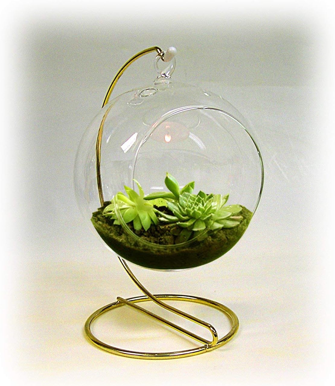 National Artcraft® 4-1/2" Hanging Glass Terrarium (Pkg/6)