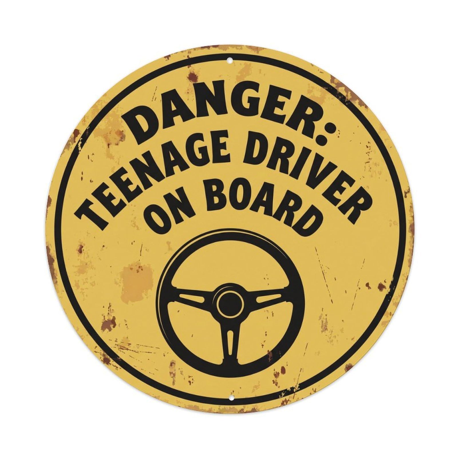 Vintage Funny Danger Teenage Driver Warning Metal Tin Sign