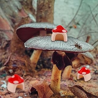 3pcs Jumping Spider Mushroom Hide for Spoods, Resin Jumping Spider Hideout House Cute Jumping Spider Mushroom Decor Jumping Spider Enclosure Accessories