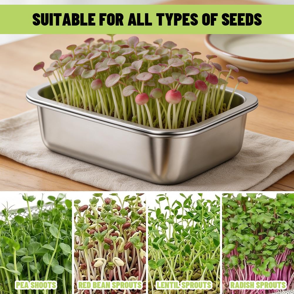 Lot de 2 Germoirs en Acier Inoxydable 26 x 19 cm, Plateau de Germination 2 en 1 pour Graines et Microgreens, Bac à Germes Réutilisable Passe au Lave-Vaisselle, Culture Facile à Domicile
