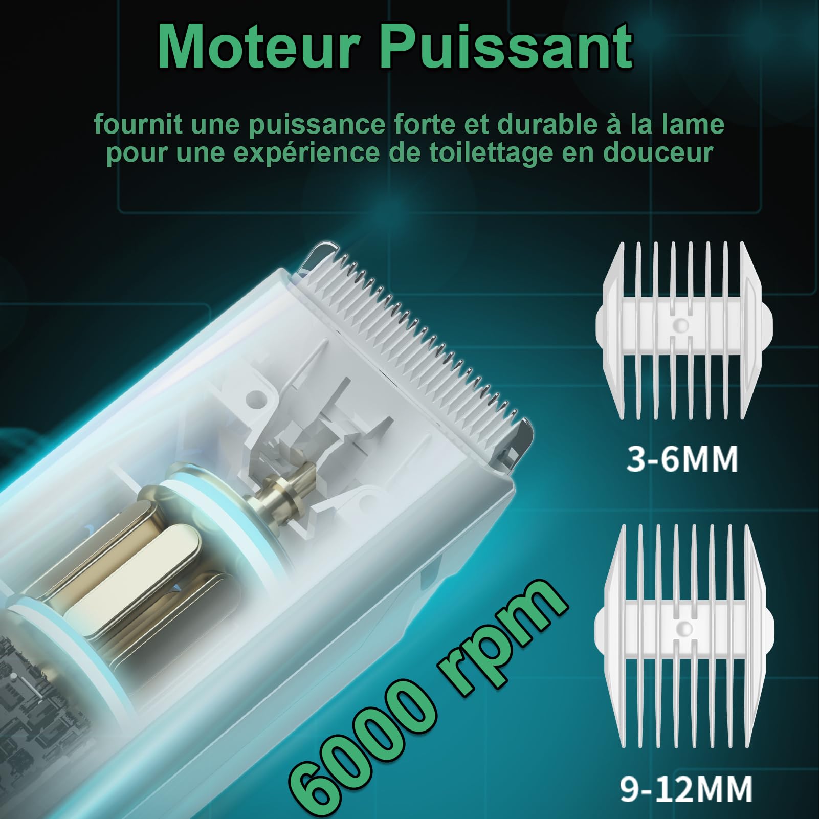 Tondeuse à cheveux professionnelle pour chien silencieuse avec lame en céramique, étanche IPX7 Vert