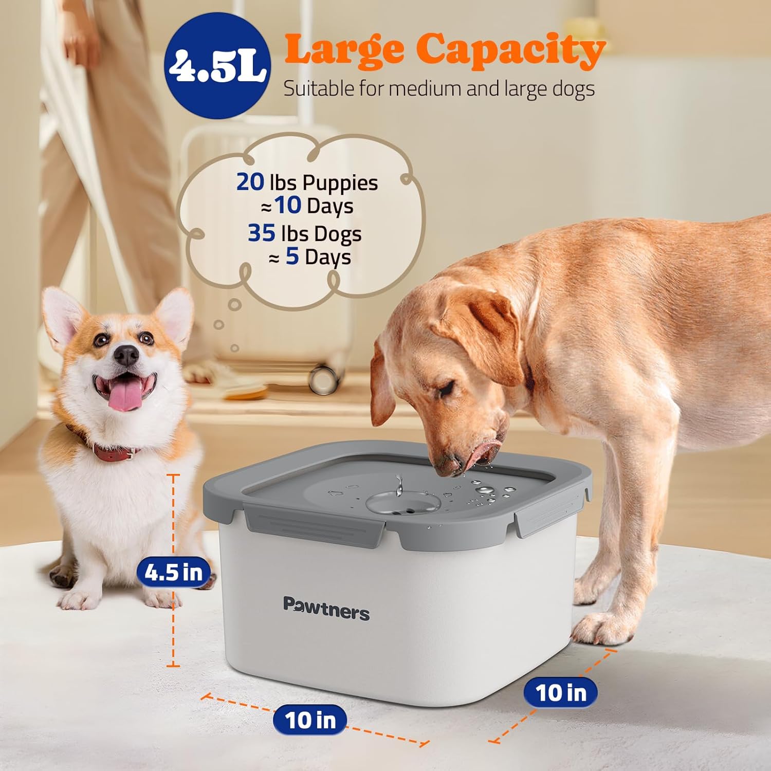6 Packs Replacement Filters for Pawtners 4.5L No-Spill Dog Water Bowls White