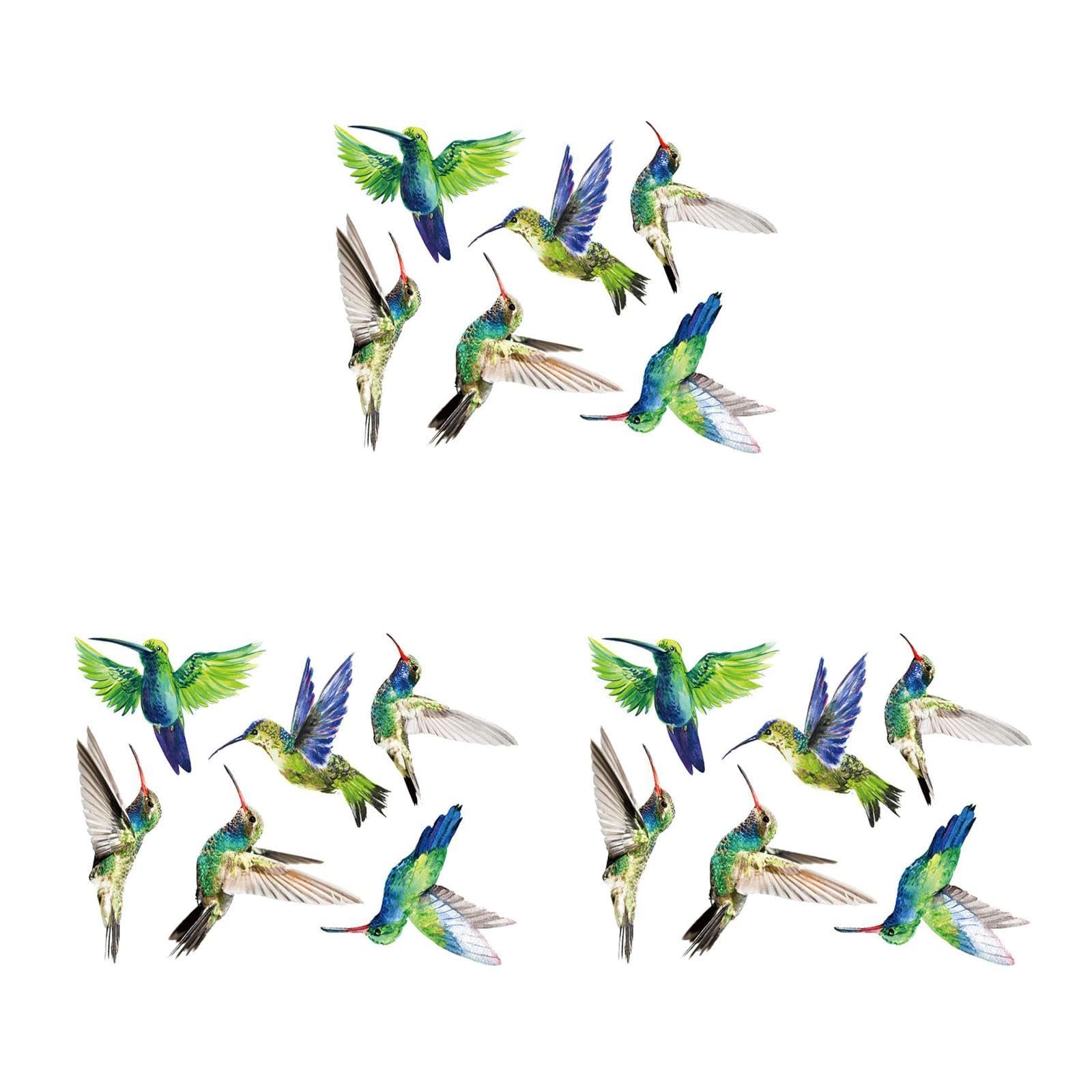 Stickers vitre anti-collision Cabilock pour stopper les chocs d'oiseaux