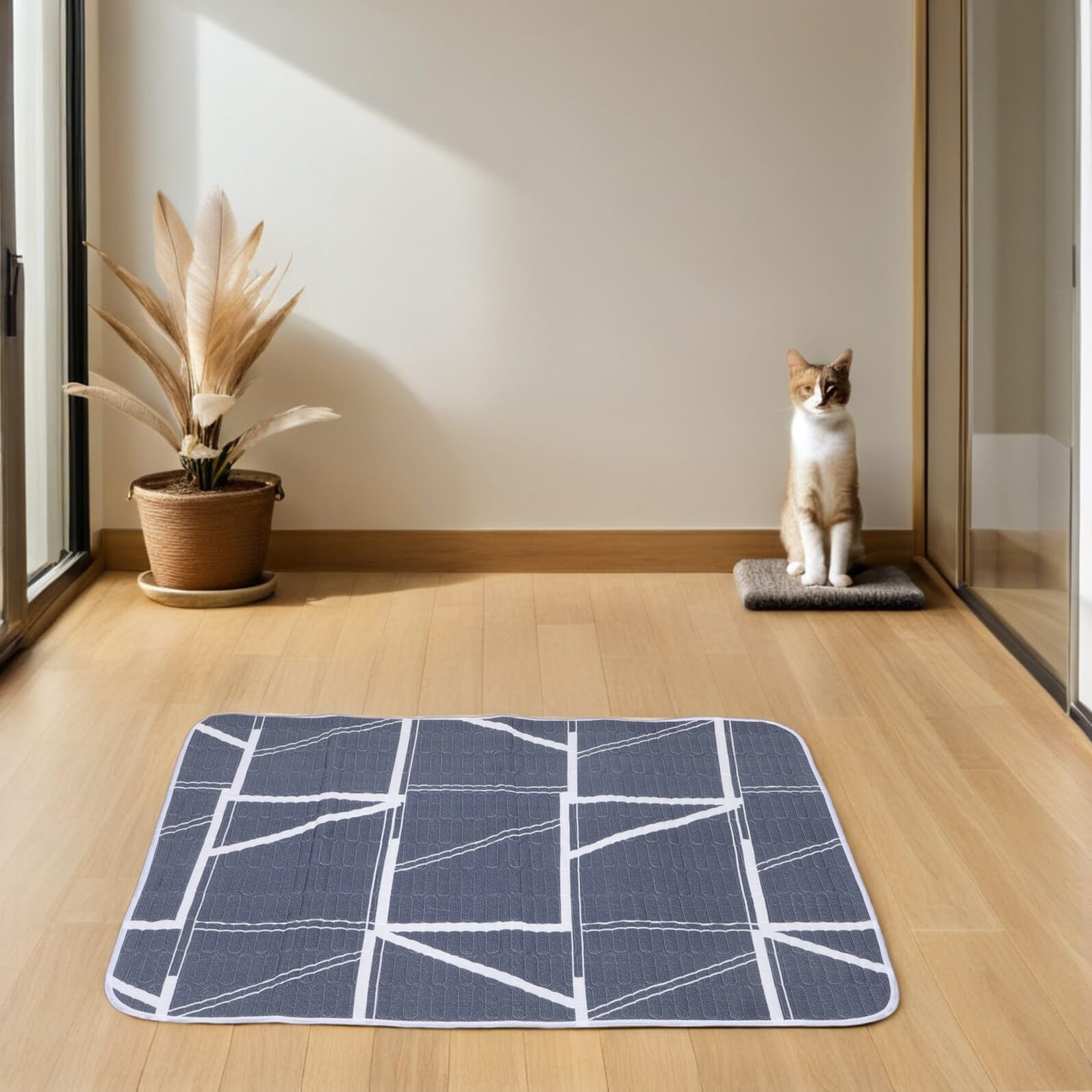 Tappetini Igienici Lavabili per Cani e Gatti 80X120 CM Set 2 Pezzi Traspiranti e Assorbenti Tappetino Riutilizzabile per Addestramento Cuccioli e Letto per Animali Domestici