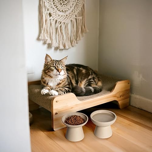 Miniatura 5 de 2 cuencos elevados para gatos extra anchos para comida y agua  Fatiga bigotes, plato ancho de cerámica poco profundo, sin plomo ni cadmio, altura