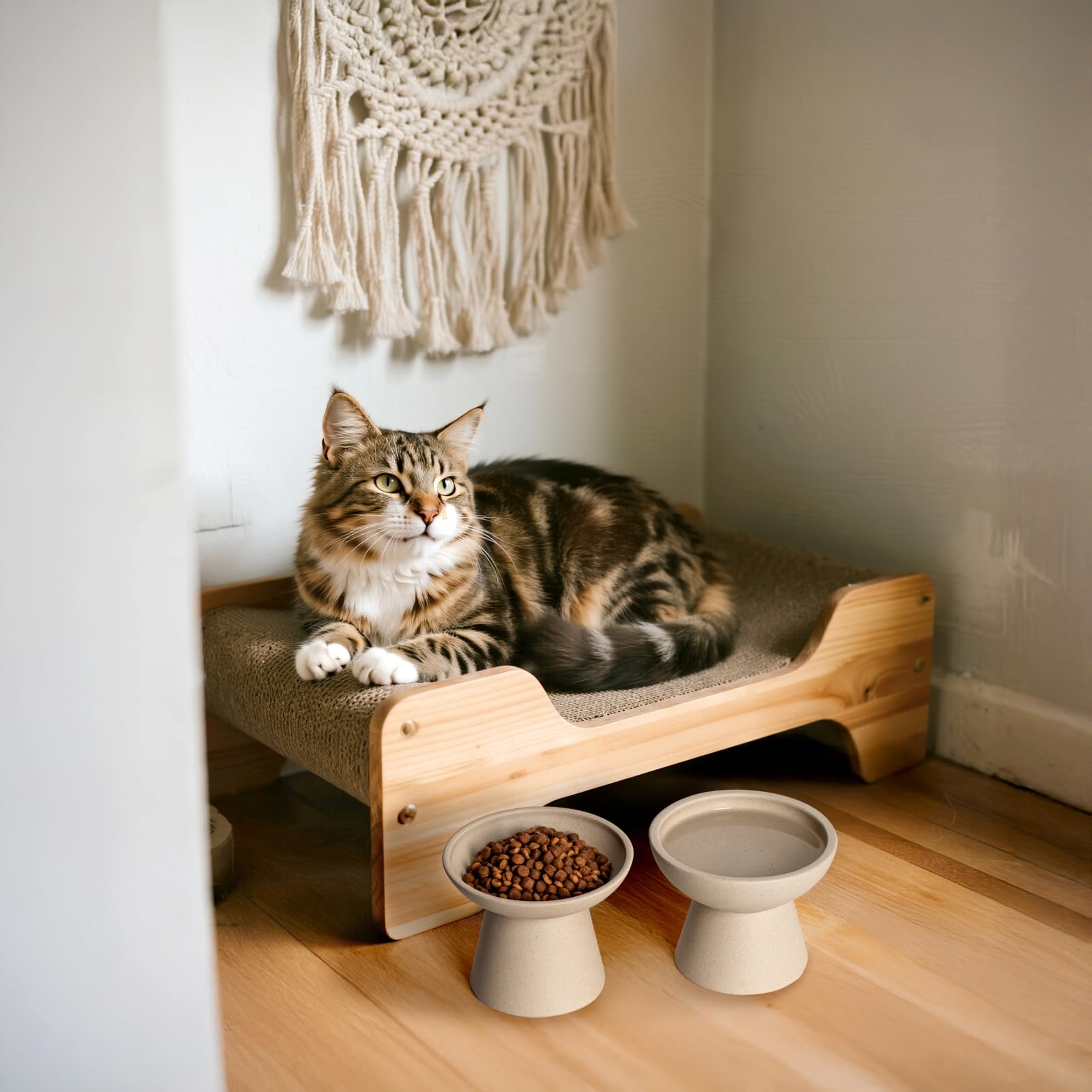 CEEFU Cuenco elevado de cerámica extra ancho para gatos, plato poco profundo de 6.2 pulgadas para aliviar la fatiga del bigote, 5 pulgadas de altura para una fácil alimentación, cuencos elevados