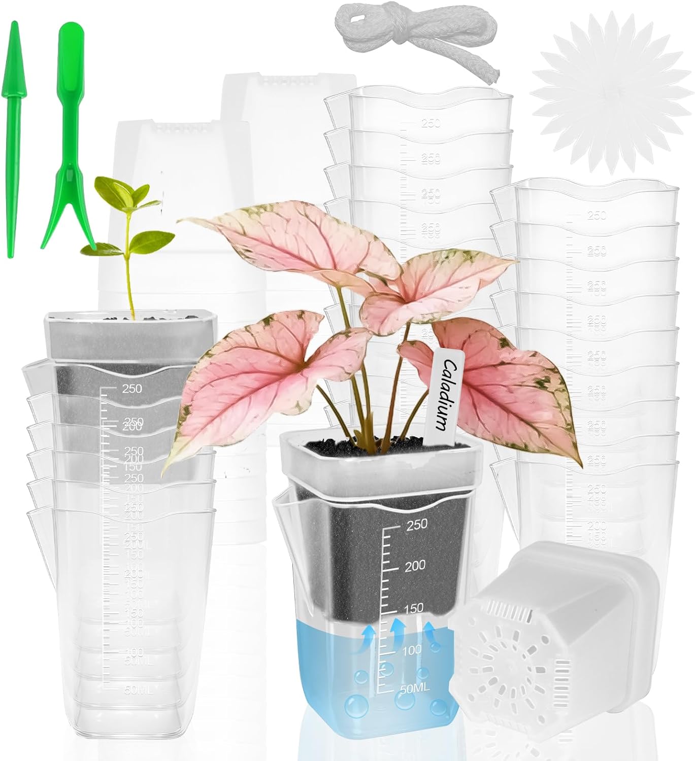 50 Pack 2.5" Clear Self Watering Pots for Indoor Plants, Semi Hydroponic Pots with Drainage & Water Level & Plant Label, Plastic Nursery Pots for Propagation, African Violet