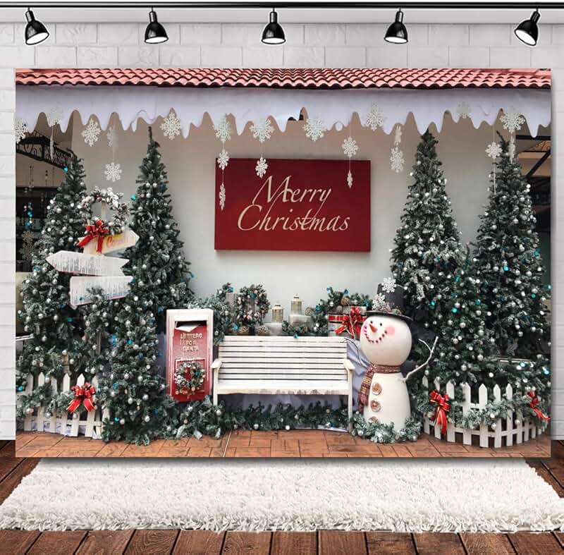 Amazon.ca christmas backdrop