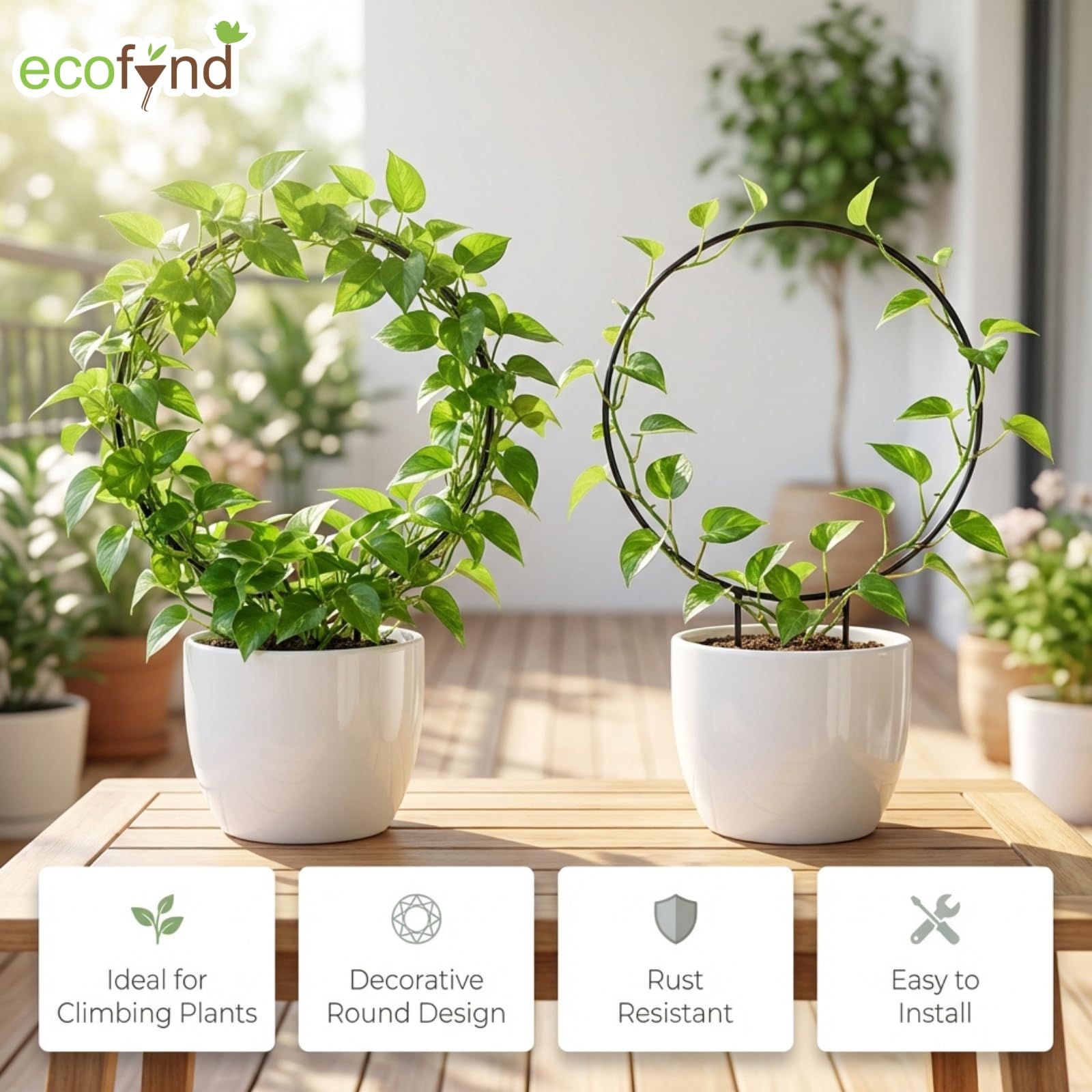 ecofynd Metal Garden Trellis for Climbing Plants, Round Shape Plant Support Stake, Single Stem Flower Support Frame for Vines, Indoor Outdoor Garden Decor, Easy Install Support Stand (Pack 2, Black) 2
