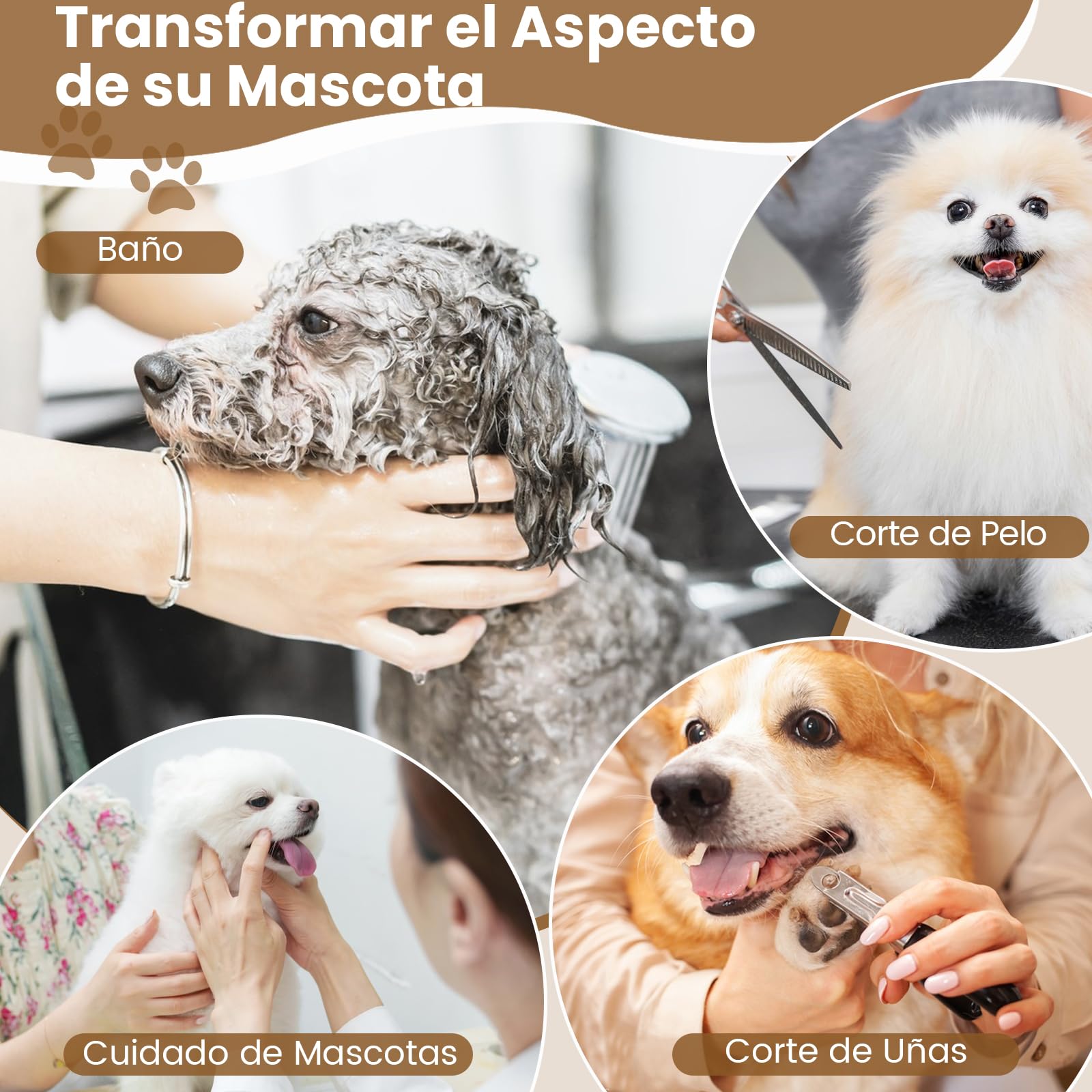 COSTWAY Mesa de Aseo para Mascotas, Mesa Plegable con Brazo Ajustable en Altura y Lazo, Superficie Antideslizante e Impermeable, Ideal para Perros y Gatos Pequeños y Medianos, Negro