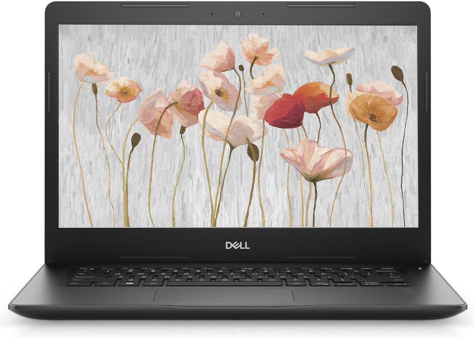 DELL Latitude 5300 i7 16GB SSD 512GB ② Amazon.com: Dell Latitude 5300 13.3