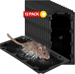 12 Pack Sticky Mouse Trap Rat Traps Indoor, Peanut Taste Pheromone Mouse Traps Indoor for Home, Glue Sticky Traps for Mice and Rats, Snake(Large Size)