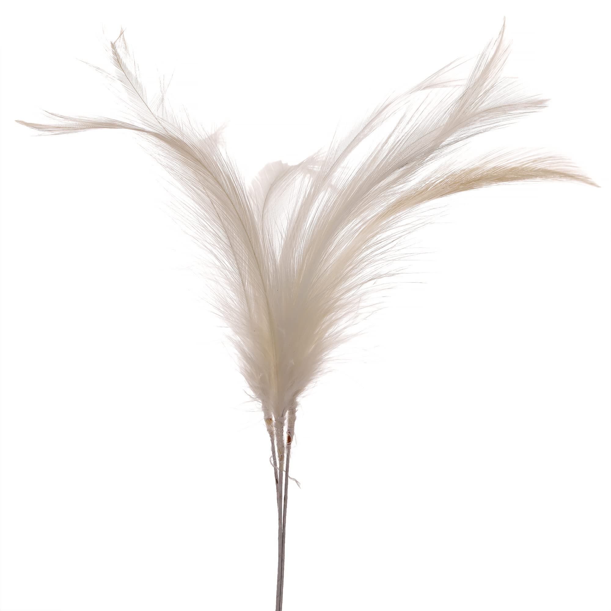 Sanjog Multi-Color Feather for Men Groom Safa Kalangi Decoration/Craft Gift For Men - Perfect for Ethnic | Wedding and Party Attire (B09SBBYSNJ) Amazon Price History, Amazon Price Tracker