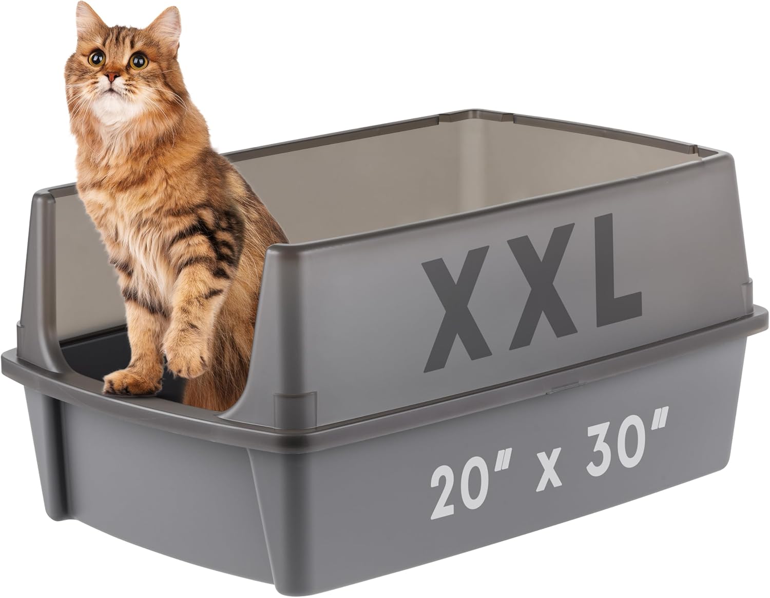IRIS USA XX-Large Open Top Cat Litter Box with High Sided Walls Tall Scatter Shield Scoop Included Easy Clean Plastic Pan for Big Cats Kittens Multi-Cat Households 30" L x 20" W x 14" H Gray