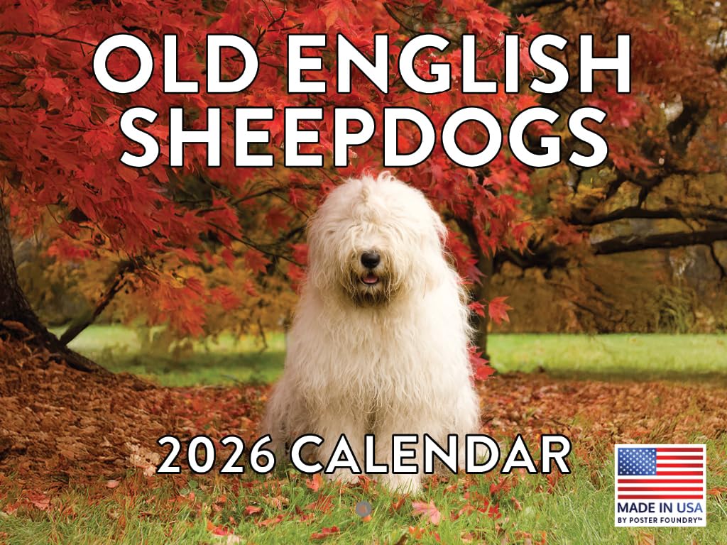 Old English Sheepdog Calendar 2026 Monthly Wall Calender 12 Month | American Made In The USA โ image 1