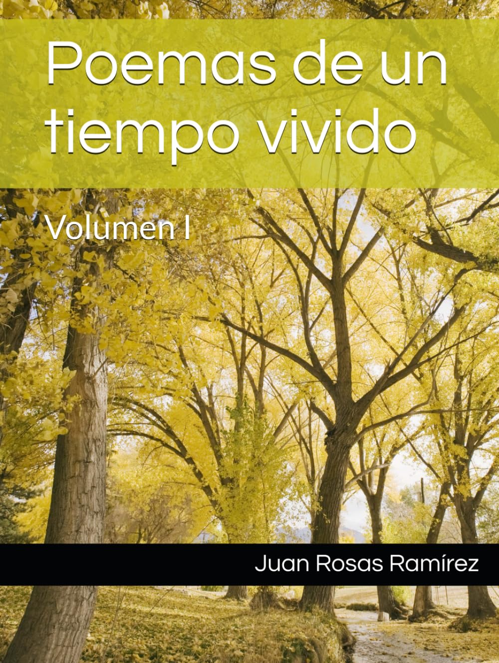 Poemas de un tiempo vivido: Volumen I