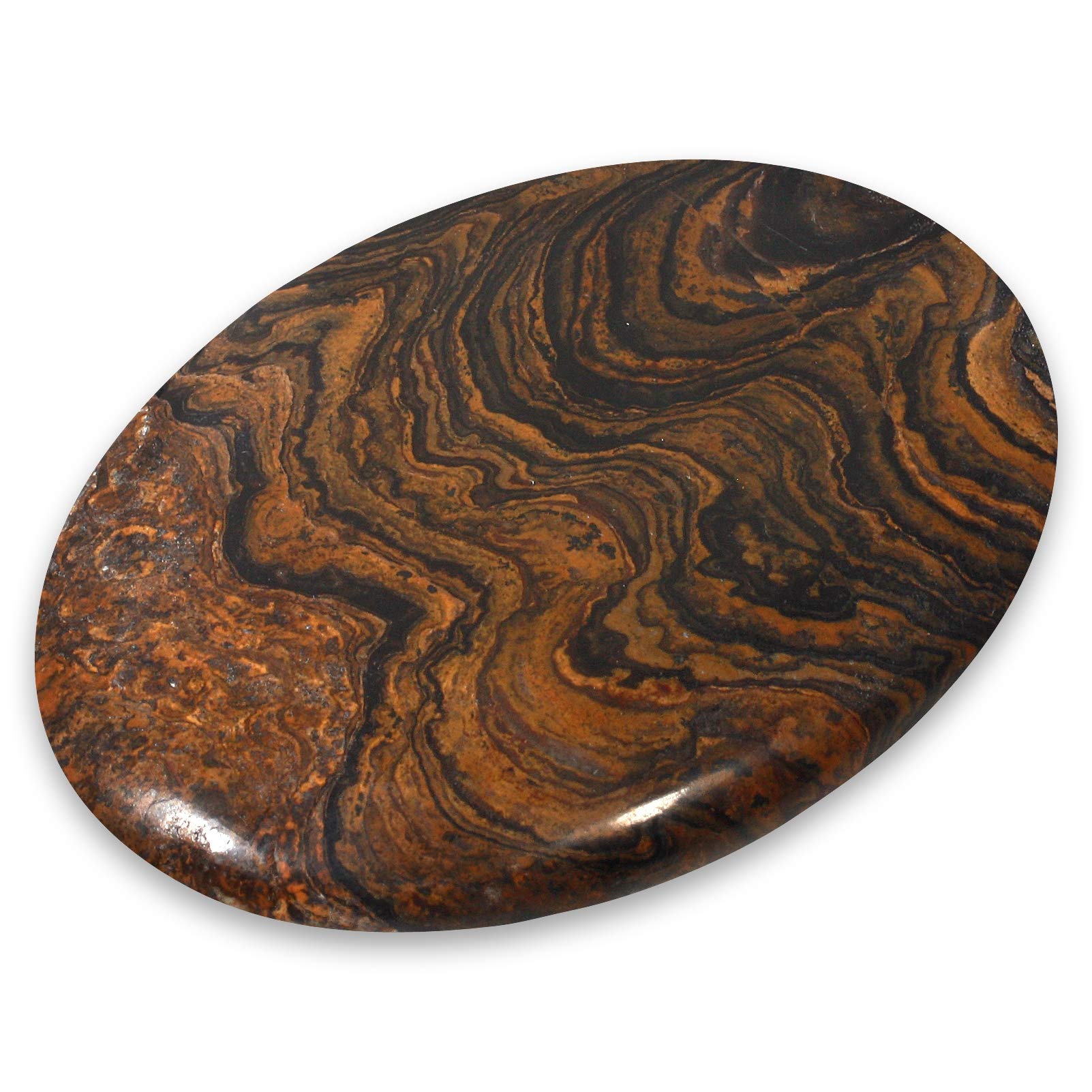 CrystalAge Stromatolite Palm Stone ~70x50mm