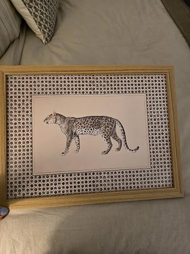 Review Image by Southernbell867