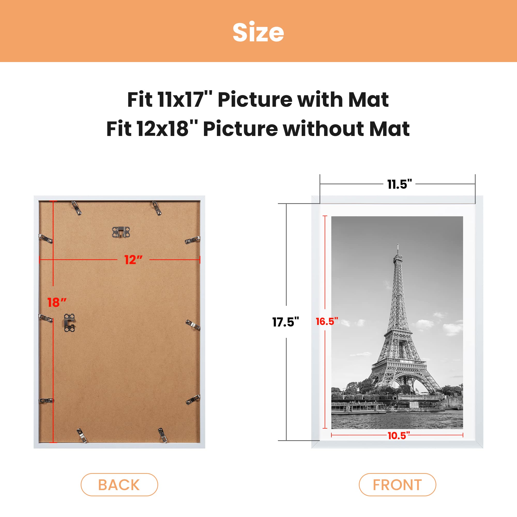 https://m.media-amazon.com/images/I/71SRd2ZBe8L.jpg