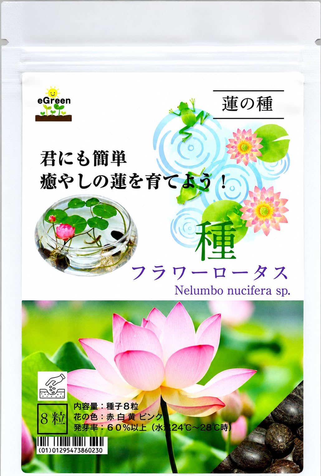 Amazon.co.jp: [eGreen]水草の種 ミニハス フラワーロータス 種 8粒 君