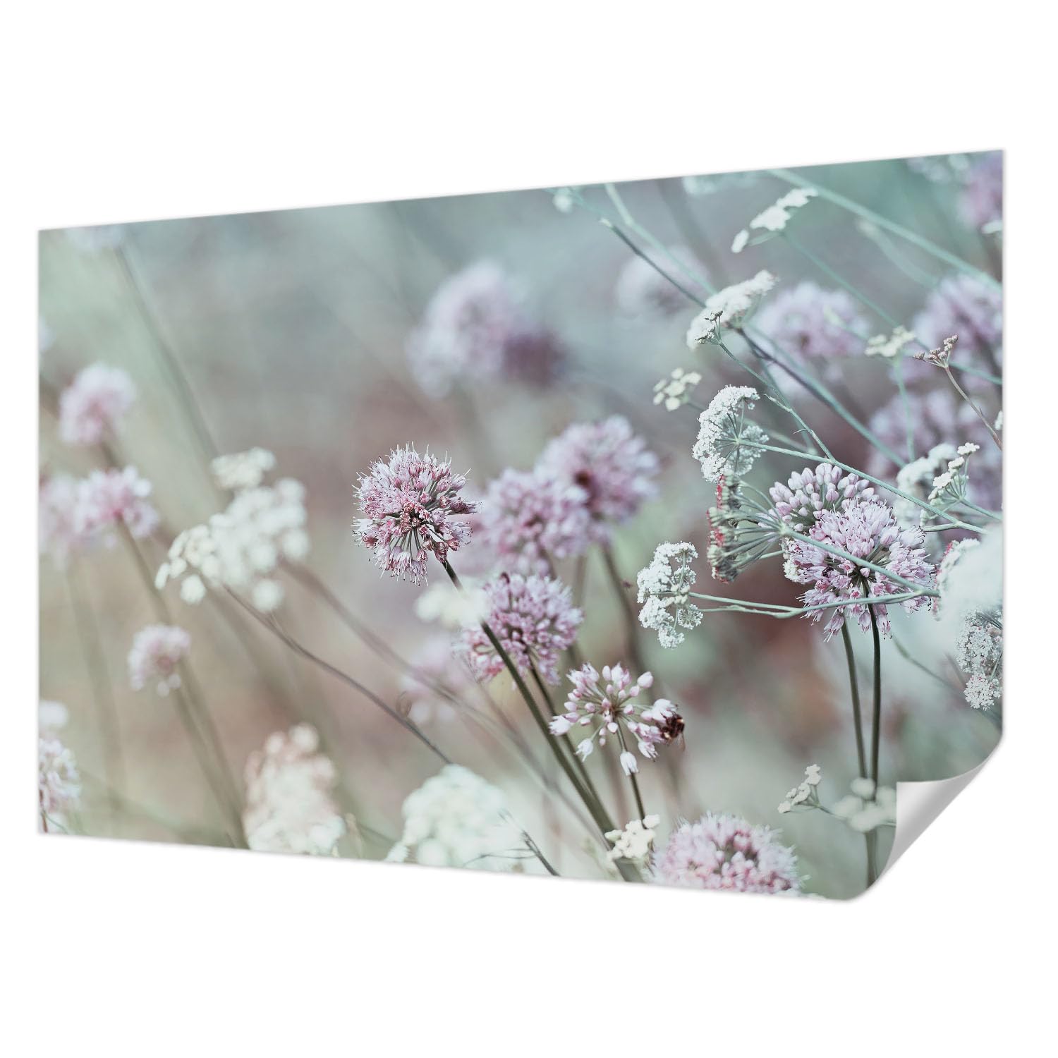 Papier peint fleurs sauvages pour créer une ambiance nature au salon
