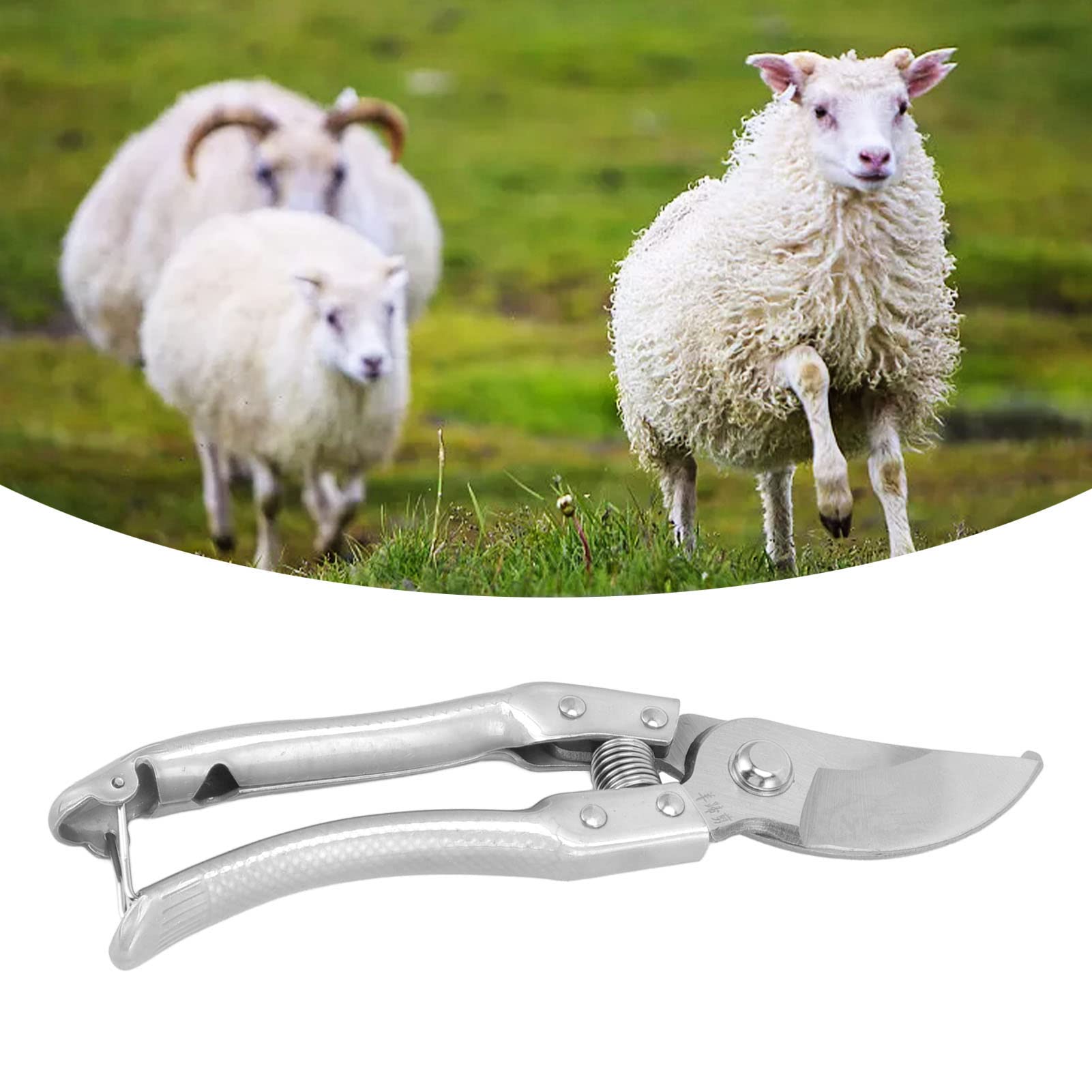 sabots de Chèvre, Cisailles ongles pour Moutons, Pince de Cisaillement Pig Trotter avec une Charge de Ressort Plus Forte Outil de Réparation de D'ongles D'orteils D'animaux(Argent)