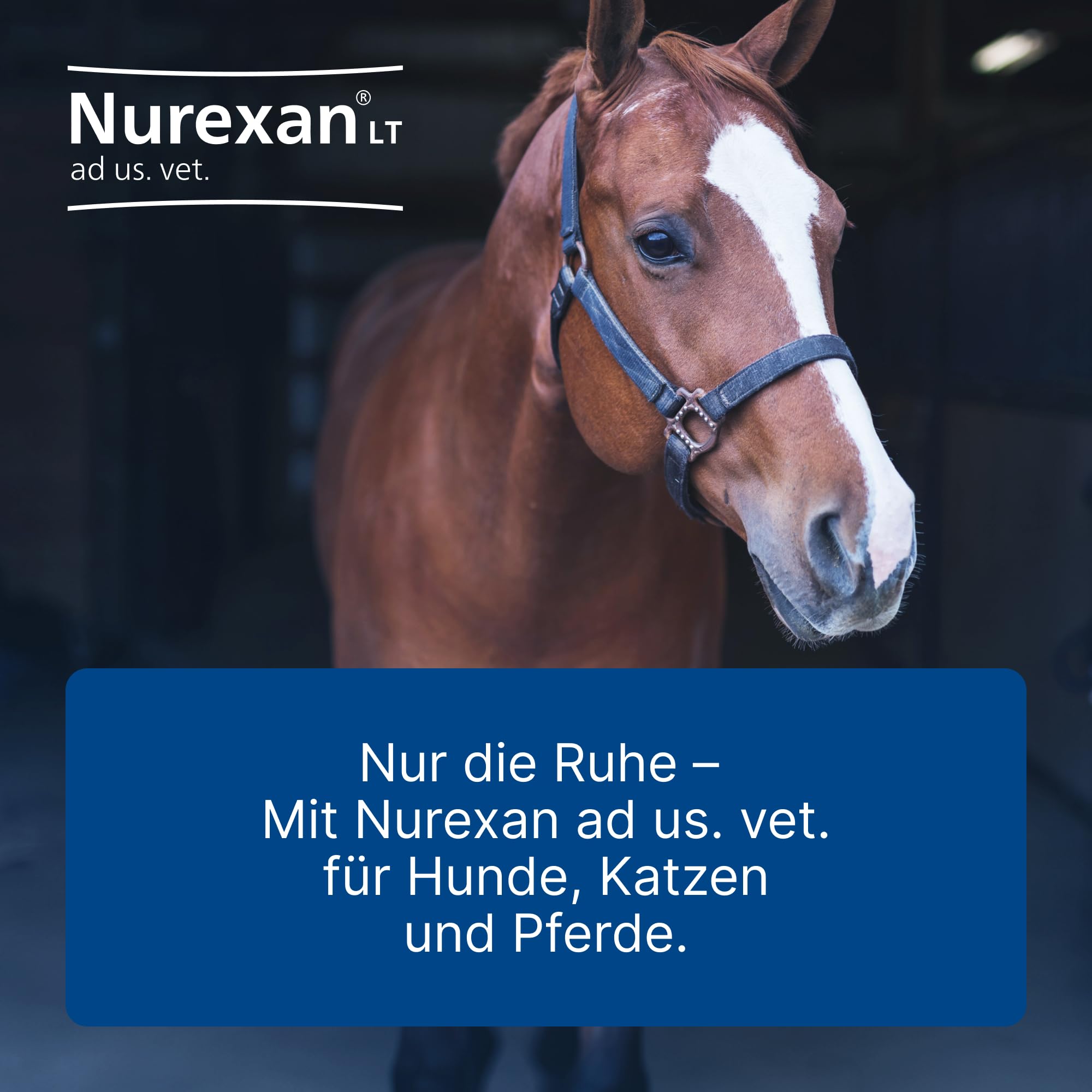 LT ad us. Vet. 500 Tabletten, Nur die Ruhe | Natürliches Tierarzneimittel für Hunde, Katzen und Pferde, Unterstützung in belastenden Situationen! , Made in Germany