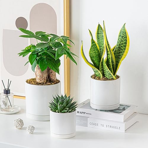 Miniatura 9 de vancasso Macetas de cerámica, 3 macetas para plantas de interior, macetas de 4.25 + 5.25 + 6.25 pulgadas con drenaje, macetas de interior para