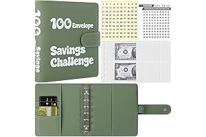 100 CASH TENDER Envelopes to Save $1000