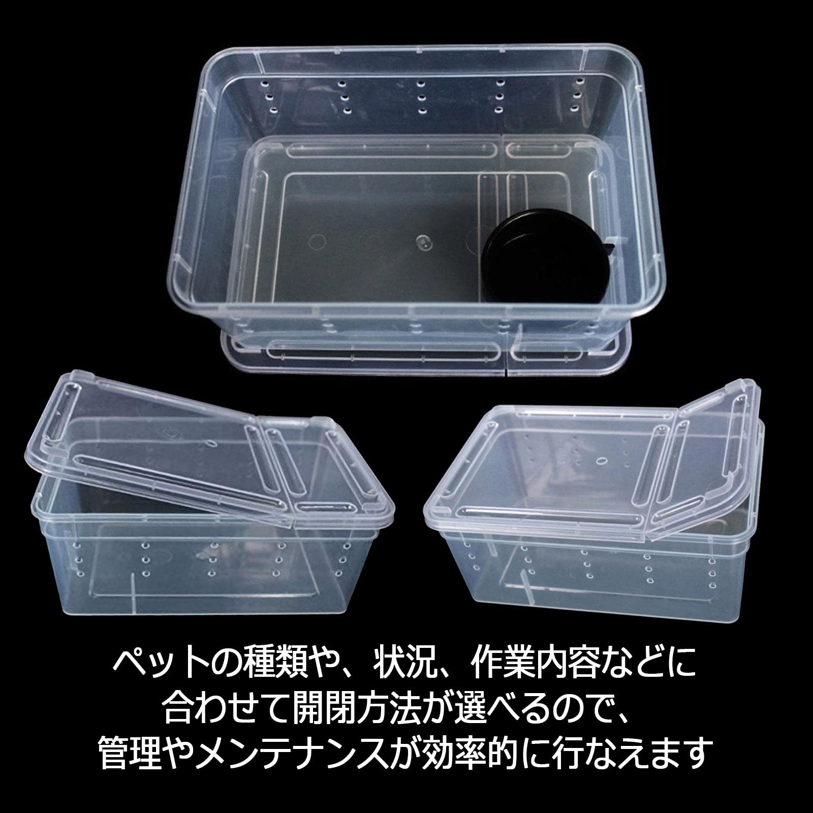 Amazon | シンプルチョコ 爬虫類飼育ケース ケージ 透明 蓋付き