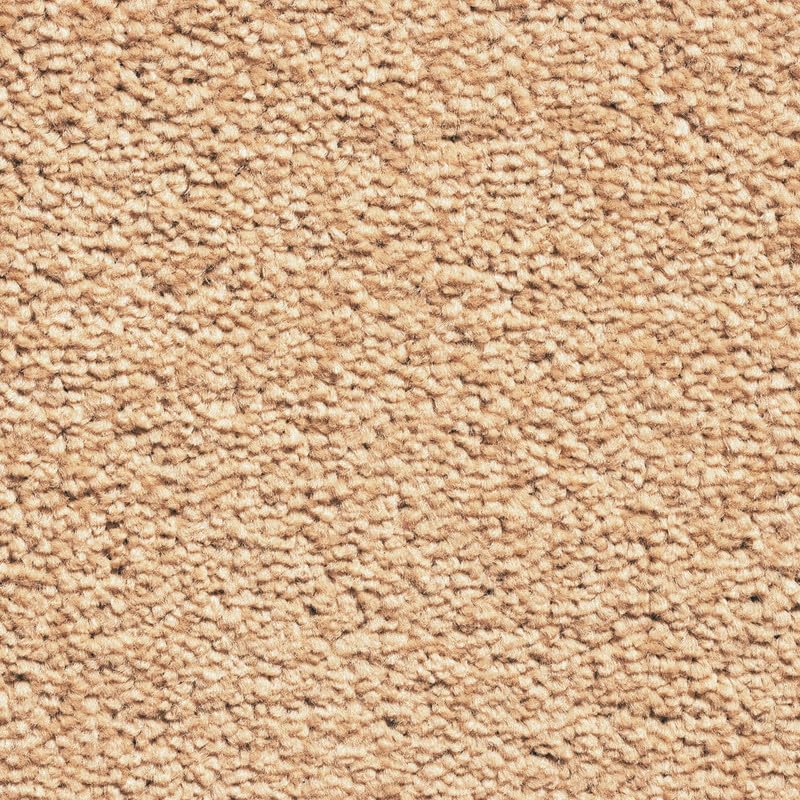 Tuda Carpet | Serene 10mm Pile Saxony Carpet with Action Backing, 12mm Total Height | Beige (90) - 4m x 2m (13ft1" x 6ft"6) โ image 1