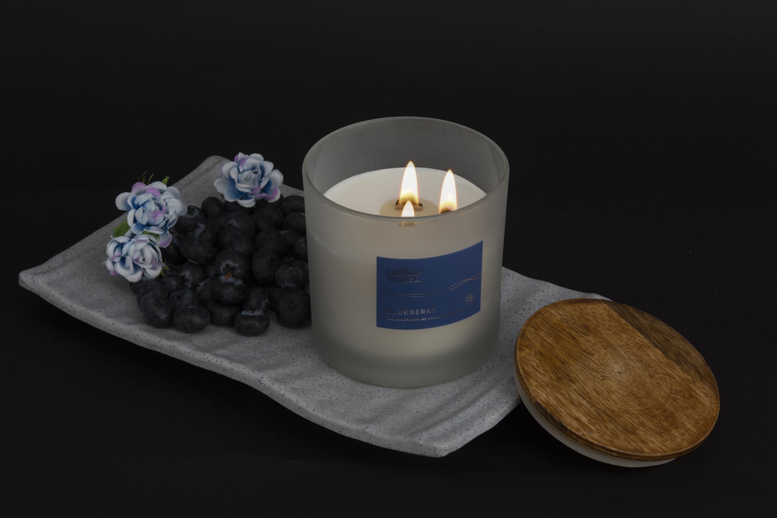 Pet Odour Eliminator | Blueberry Scented Candle by Caroline and Caleb | Non Toxic | Long Lasting 30 Days | 100% Vegan Soy Wax | Pet Odour Remover for Dogs and Cats | Gifting 1