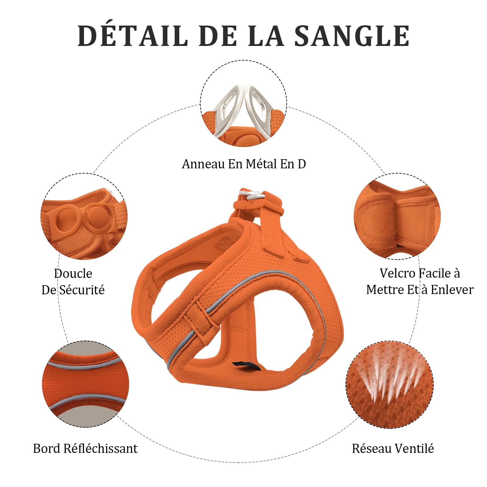 Qianruida Cat and Leash Harness for Cats and Kittens Anti-Escape Adjustable Reflective Breathable Soft Mesh Vest for Small Dogs and Cats (Orange XS) - Image 2