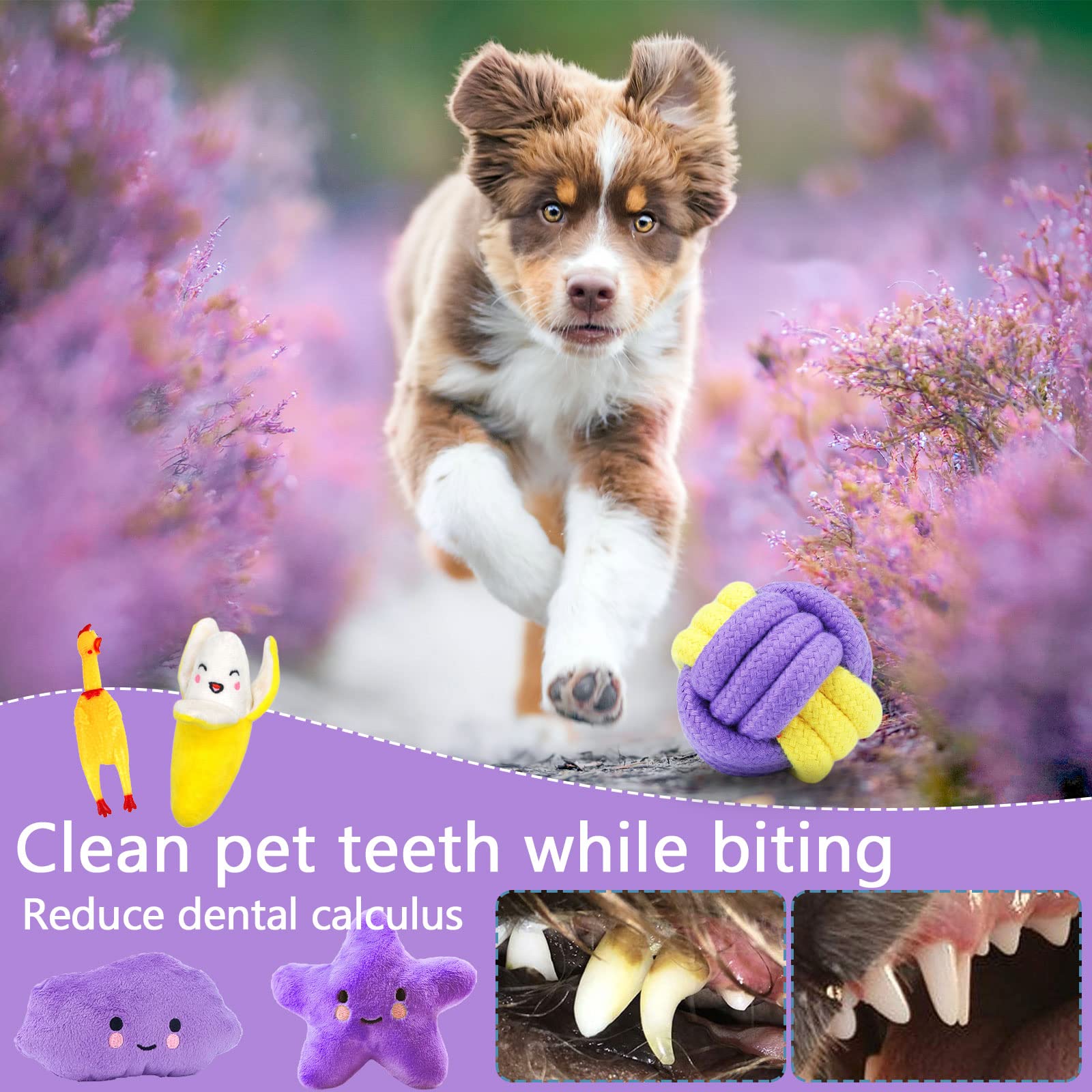 Giocattoli Di Corda Per Cani 3 Pezzi - Gioco Interattivo Durevole Per Masticare, Pulire Denti E Ridurre Ansia - Foto 10