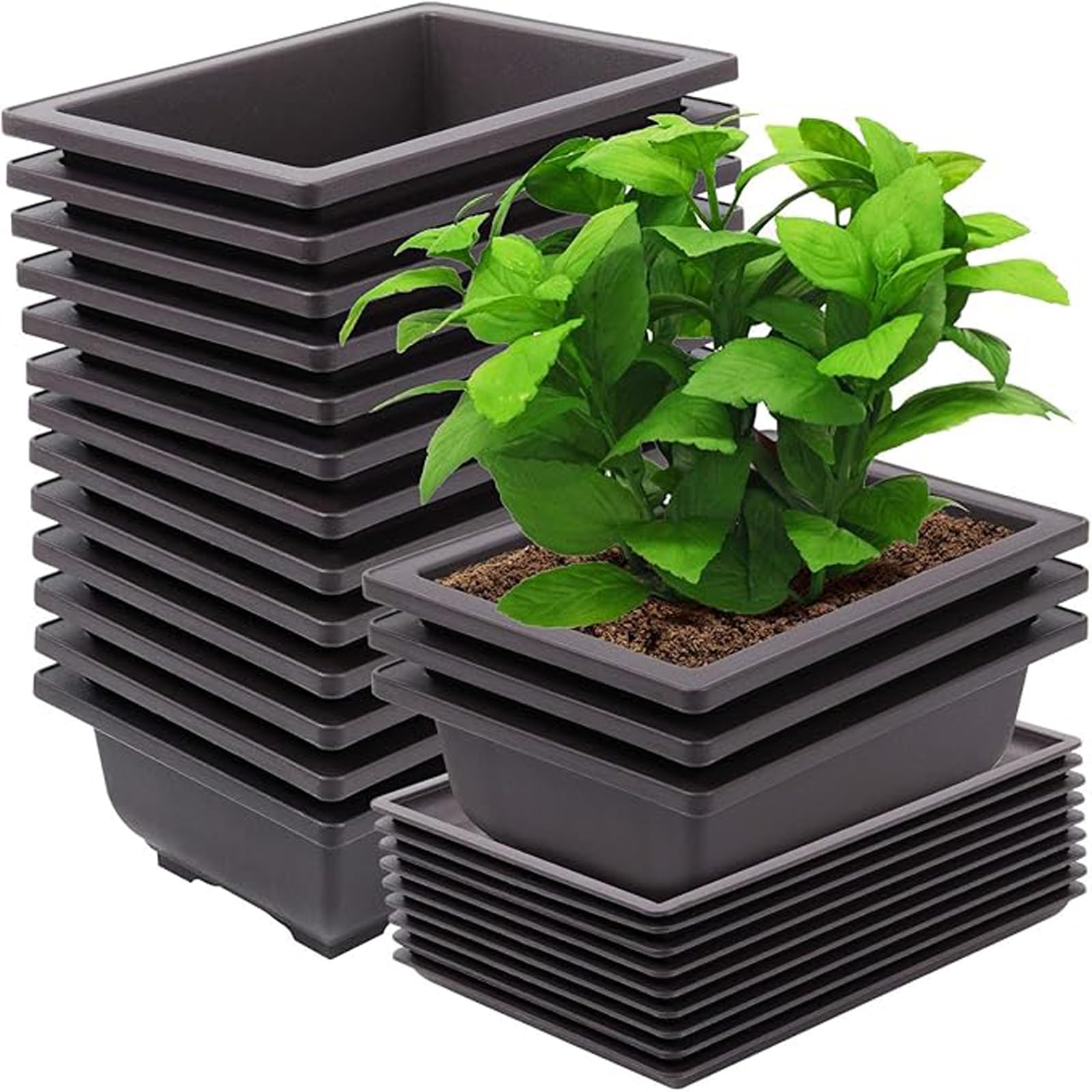 Pots bonsaï contre le pourrissement des racines avec bac de drainage et d'humidité - 21 cm