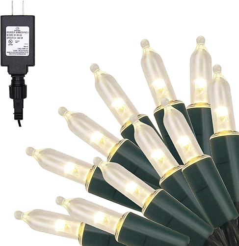 Twinkle Star Guirnalda de 300 luces LED de Navidad, 99 pies, con adaptador seguro para interiores y exteriores, hogar, jardín, fiesta, decoración de
