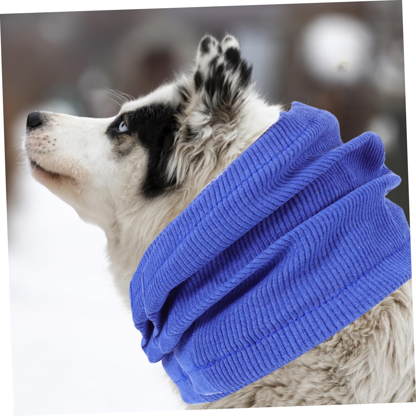 5 Protectores De Orejas Suaves con Cancelación De Ruido para Perros Y Mascotas.