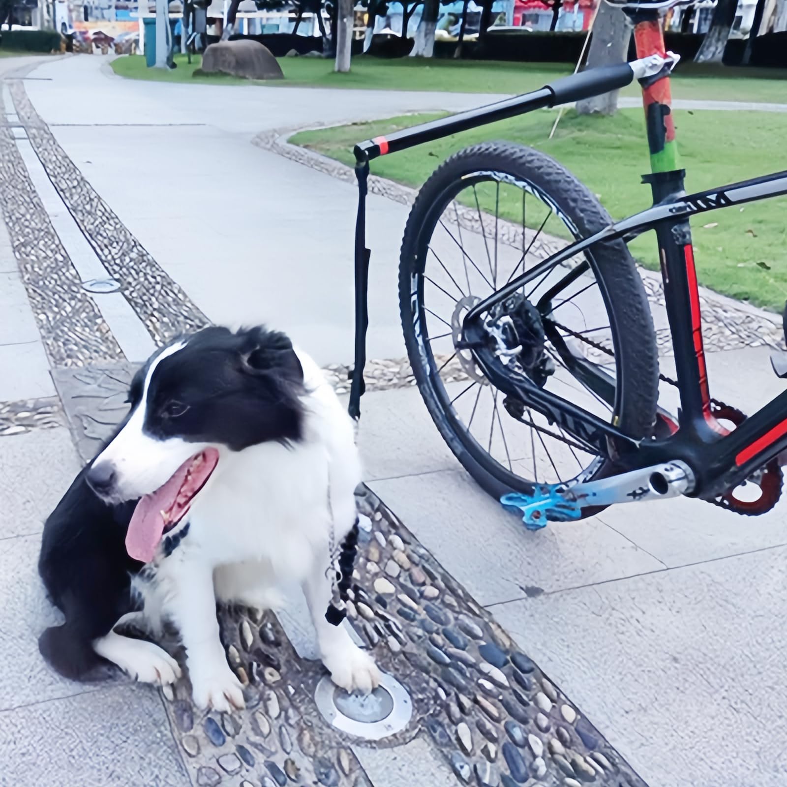 Correa de Bicicleta para Perro Manos Libres Retráctil con Llave Hexagonal y Junta de Goma - Para Entrenamiento
