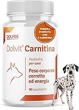 Dolvit Carnitine Integratore Cane da Caccia, 90 Compresse, L - Carnitina per Cani e Vitamine Cane per Energia e Forma Fisica, Cani Attivi e in Sovrappeso