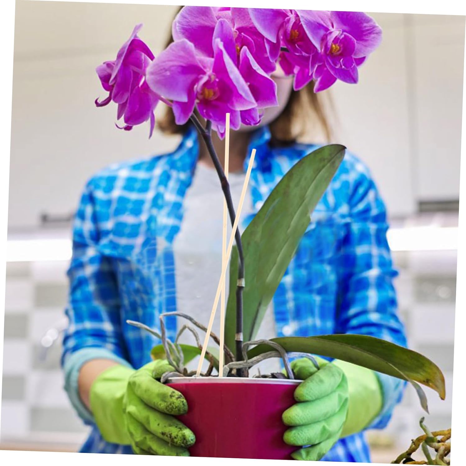 UPKOCH 60pcs Plant Support Sticks Climbing Poles for Indoor and Outdoor Potted Plants Rack for Garden Vines and Flowers Stable and Natural Design