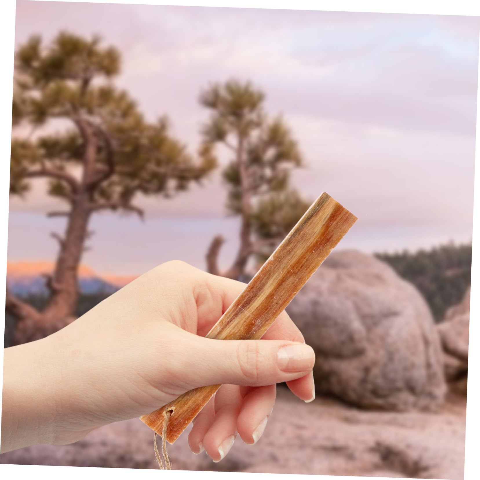 BESPORTBLE 6 Pièces Kit de Bâtons Allumage de Feu Bois pour Camping et Survie Allume-feu Extérieur et Léger pour Barbecue Cuisson et Randonnée Plein Air