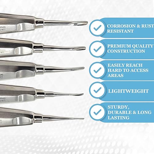 Miniatura 3 de Elevador de luxación dental recto y curvo, osteótomo periodomo, implante oral de muda apical, extracción quirúrgica de raíz de acero inoxidable