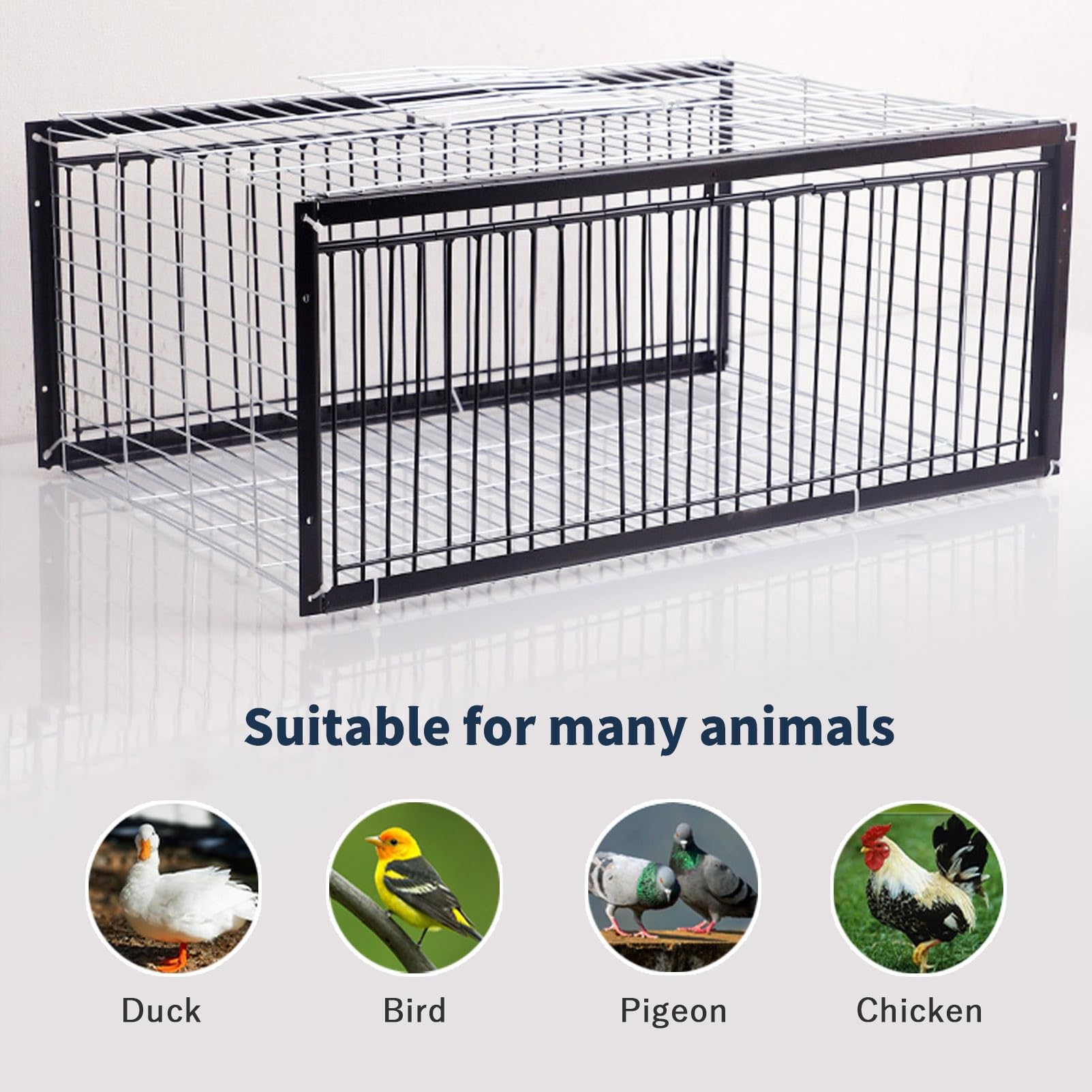 Jaula para pájaros para Palomas con Entrada unidireccional Jaula Trampa para pájaros y Pollos al Aire Libre Jaula Trampa para Animales Vivos Gallinero portátil Soldadura de Metal(60x40x26cm)