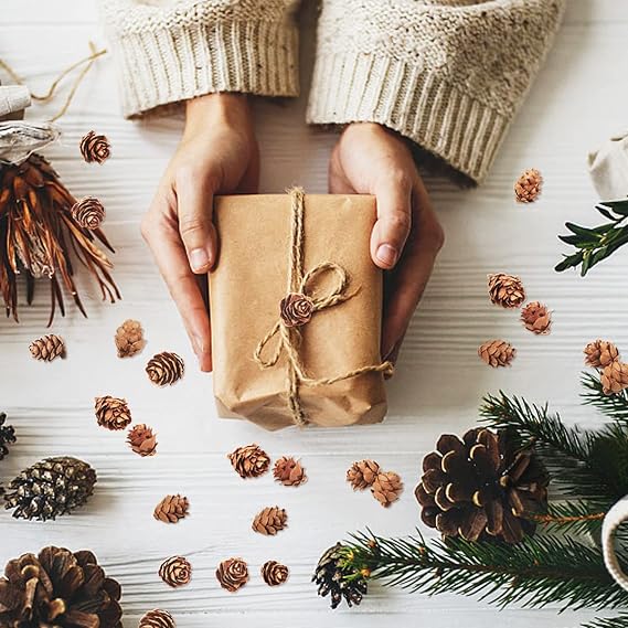 200pcs Christmas Natural Pinecone Mini Autumn Decoration Pinecone Ornaments Bulk Small Pinecone DIY Craft Thanksgiving Fall Winter Christmas Wedding Decoration Vase Fillers Decoration