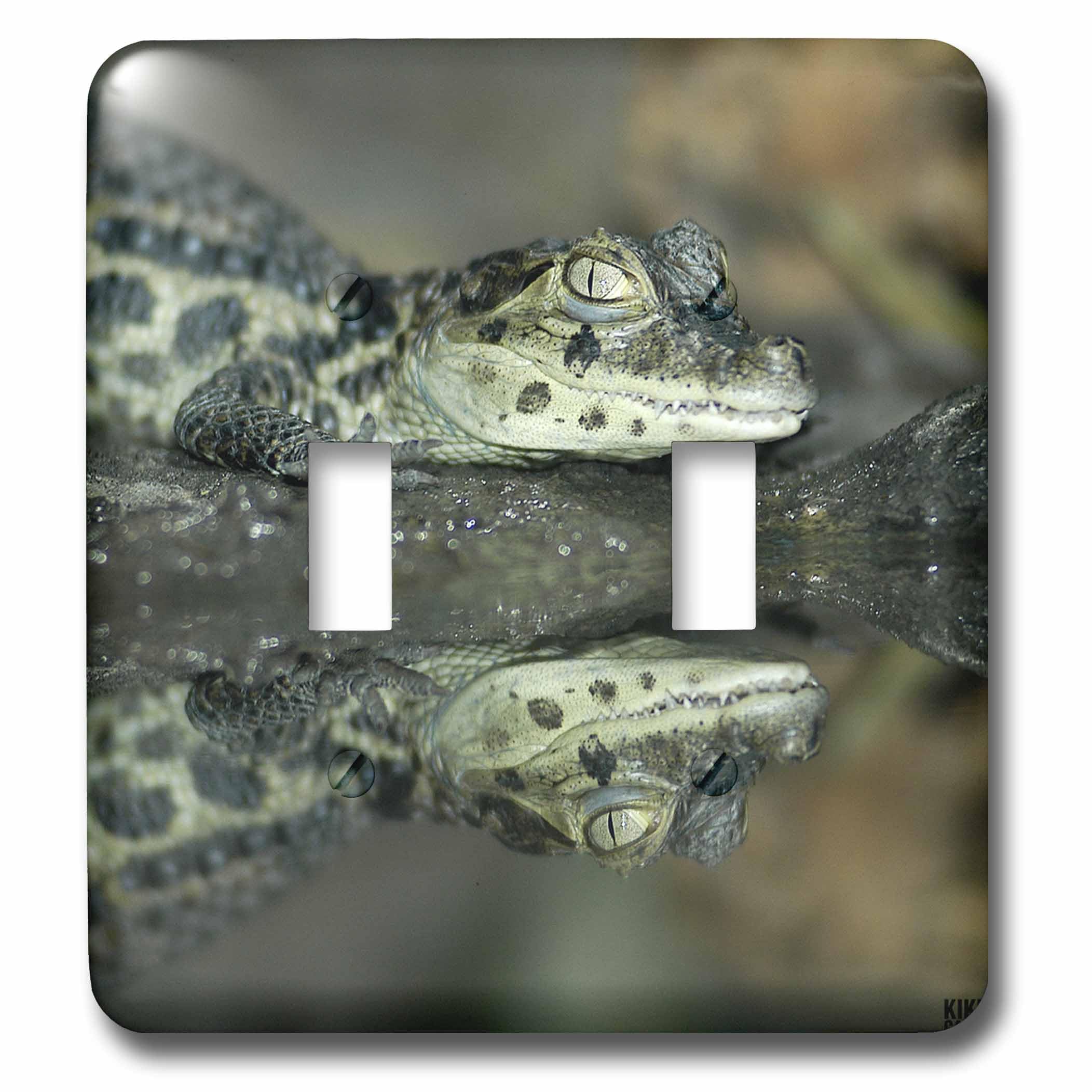 Double interrupteur à bascule Baby Alligator pour remplacer vos plaques
